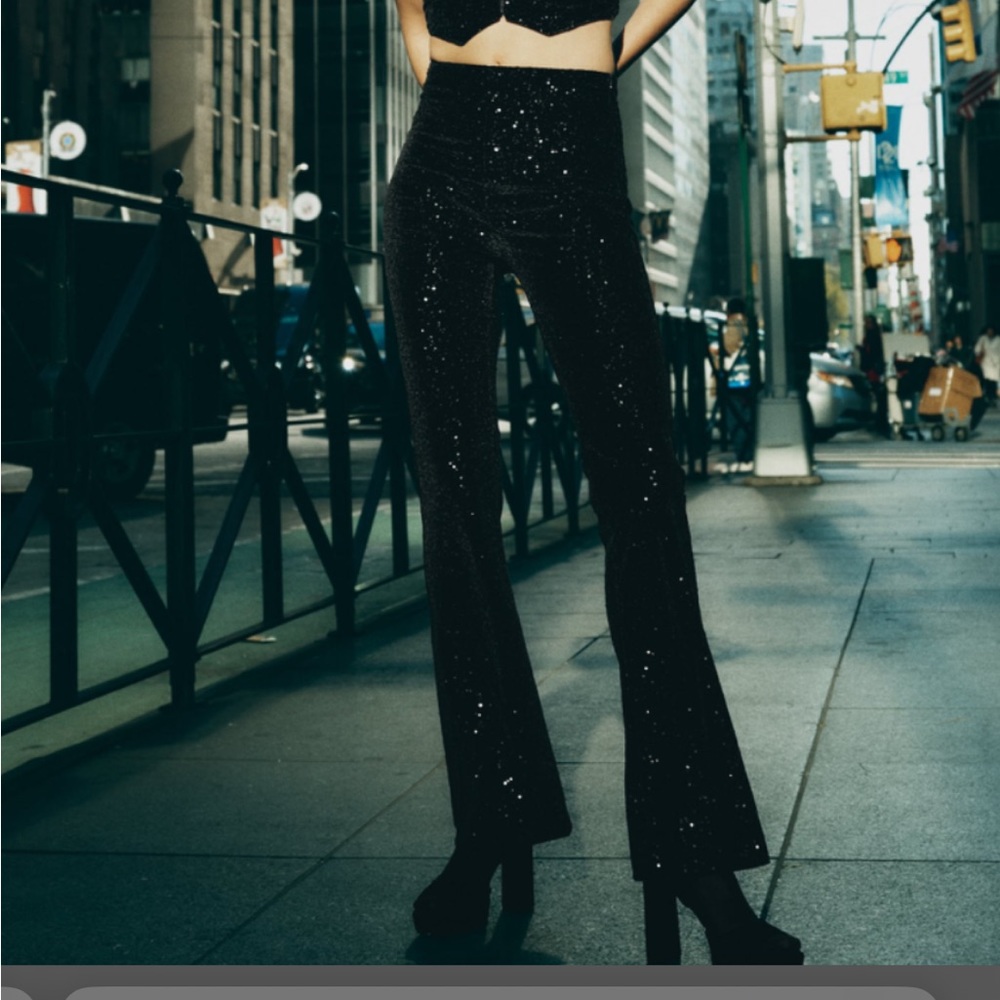 Zara sequin Pants. Size medium.